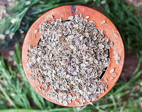 Food to Live - Dill Seeds Whole, 7 Ounces Kosher, Raw, Vegan, Bulk...