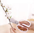Garden Pruning Shears Scissors with Comfort Grip Handle Steel Floral Scissors Floral Shears, Perfect for Arranging Flowers, Pruning, Trimming Plan...