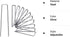 6 Inch Galvanized Garden Landscape Staples Stakes, 25 50 100 PCS Anti-Rust Garden Staples U-Shaped Landscape Pins for Secure Lawn Fabric (25, 6 in...