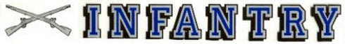 Army Infantry Window Strip Decal Sticker...