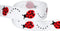 3/8"-7/8" Ladybug Printed Grosgrain Ribbon for Cheerleader Hair Bows, Sewing (10yd 3/8" Ladybug-White/Red)...