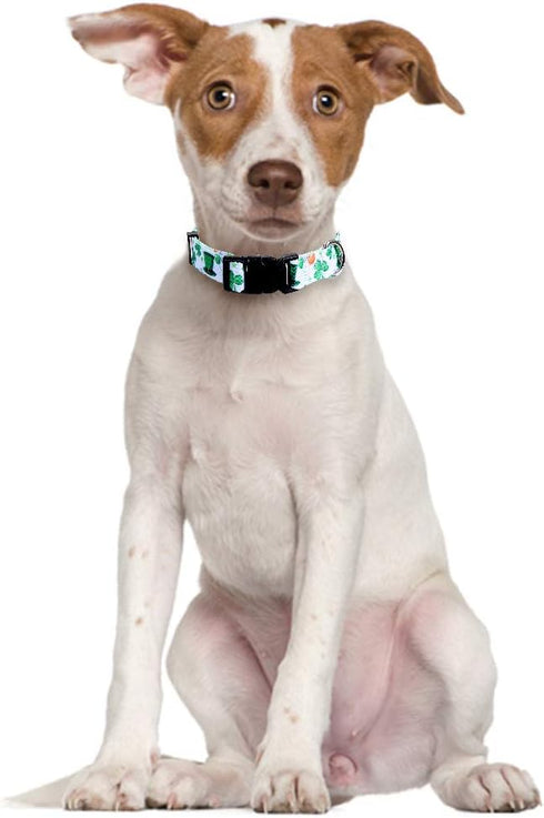 2 Pack St.Patrick's Day Dog Collar Adjustable Four Leaf Clover Small...