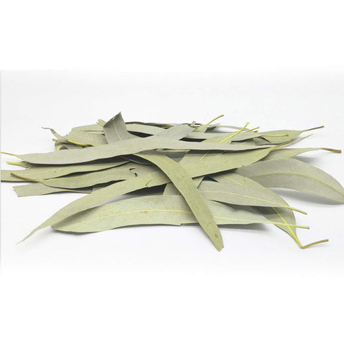 Whole Eucalyptus Leaves, Natural Eucalyptus Herb Leaves, 114g (4.0 oz)...