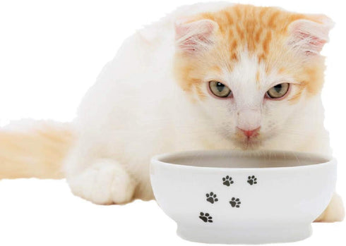 Necoichi Ceramic Cat Bowls for Indoor Cats - Cat Food Bowl, Cat Water Bowl, Cute Cat Dishes for Food, Whisker Friendly, Anti-Spill Feeding for Sma...