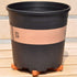 Ewer 24 Pcs Plant Pot Feet, Pot Toes, Invisible Flower Pot Risers, Terra Cotta Pot Toes for Indoor and Outdoor Plant Pots...