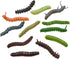 24Pcs Simulation Caterpillar Plastic Fake Worm Crawling Halloween Prank Toy Educational Learning Toys for Kids (Random Style)...
