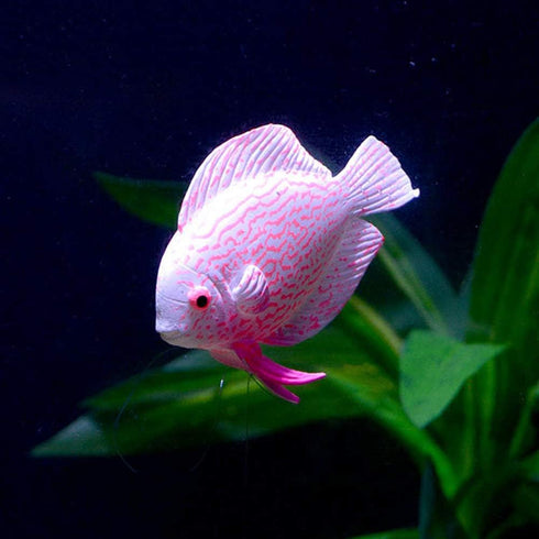 4Pcs Artificial Silicone Tropical Fish, Aquarium Artificial Fishes Glowing Effect Moving Fish Silicone Floating Fishes for Fish Decoration...