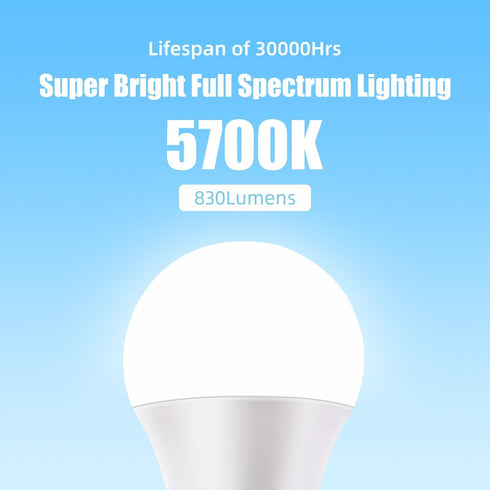 Full Spectrum Sun Light Bulb - A19 9W, Boosts Energy, Mood & Performance, Near-Perfect Color Rendering, Imitate Sunlight Indoors for a Happy Life,...