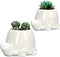 GeLive White Turtle Ceramic Succulent Planter, Tortoise Plant Pot, Windowsill Box, Animal Flower Container, Tabletop Decor with Drainage Hole (Set...
