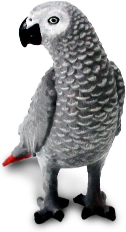 Safari Ltd. African Grey Parrot Figurine - Detailed 2" Plastic Model Figure - Fun Educational Play Toy for Boys, Girls & Kids Ages 3+...