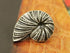 Bezelry 12 Pieces Ammonite Metal Shank Buttons 20mm X 14mm (Antique Silver)...