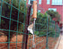 1 PCS Stainless Steel Weeder Manual Household Farm Tool Root Extractor Weeder Loose Soil Raising Fork Garden Gardening...