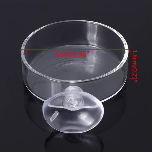 White Shrimp Feeder Dish Glass Feeding Tray Aquarium Fish for Tank Reptiles Round Food Bowl 2.4" x 0.7" with Suction Cup Fish Bowls Aquariums and ...