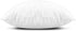 EDOW Throw Pillow Inserts, Set of 2 Lightweight Down Alternative Polyester Pillow, Couch Cushion, Sham Stuffer, Machine Washable. (White, 18x18)...