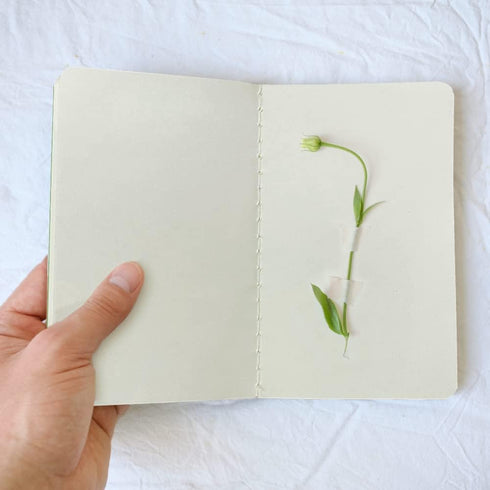 Gwybkq Small Unlined Pocket Notebooks 12 Pack Mini Notepads Journal Blank Sketch Book Pad for Kids Plain Notebooks Drawing Pad 3.5 x 5.5 Inches, 3...