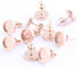 20pcs Stainless Steel Post Stud Earring Base Blanks 8mm Dia Blank Cabochon Setting Bezels for Jewelry Making Kit (Rose Gold)...
