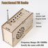STEM Toys Science Kits for Kids Age 6-18 Build Your FM Radio Kit Gifts for 6-18 Year Old Boys Girls Kids Teens DIY Electronic Circuits Projects Wo...