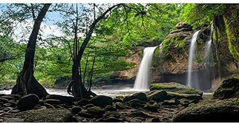 AWERT Waterfall Terrarium Background Tropical Rainforest Aquarium Background Lake Stone Rocky Reptile Habitat Background 48x18 inches Durable Poly...