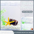 Small Betta Fish Tank, Stackable Mini Fish Tank Tiny Aquarium Tank Kit with Aquarium Gravel & Resin decorations, 0.6 Gallon Cube Desktop Fishbowl ...