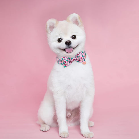 Valentine’s Day Dog Collar with Bow Tie, Valentine Bowtie Collar for Small Girl Boy Dog, Valentine’s Day & Wedding Gift Pet Collar, Cotton pink Co...