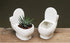 Ceramic White Toilet Plant Pot/Bonsai Pot/Flower Pot/Succulent Planter 4.6" Ideal Gifts for Women, Mom or Birthdays...