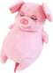 Pig Plush Toys for Kids Birthday Gifts for Girls Boys Christmas Day Giftsfor Toddlers Pig Stuffed Animal Hugging Pillow Easter Gifts for Toddlers,...