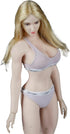 1/6 Scale Female Clothes,Female Pink Bras Underwear Clothing for 12inch PH TBL JO Seamless Action Figure Body (B)...
