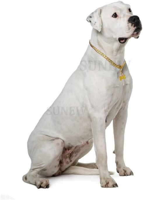 Walking Collar with Dog Tag Design Secure Buckle Cuban Link Chain Collar Heavy Duty Chew Proof for Medium Large Dogs...