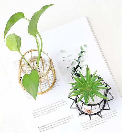 Glass Vase Nordic Small Flower Vase Clear Glass Bud Vases with Metal Geometric Iron Line Cup Vase Pot for Hydroponic Planter Flowers Rack Stand Mo...