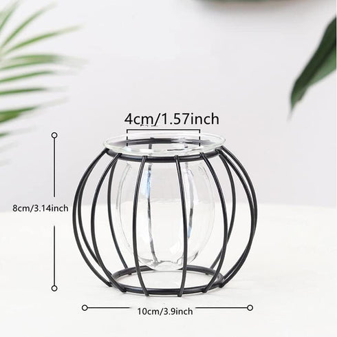 Glass Vase Nordic Small Flower Vase Clear Glass Bud Vases with Metal Geometric Iron Line Cup Vase Pot for Hydroponic Planter Flowers Rack Stand Mo...