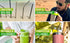 Stainless Steel Straws (Tall)...