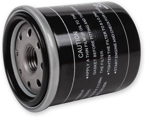 Scooter Oil Filter - Buddy 150, Buddy 125, Blur 150, ET4, LX 150, GT200...