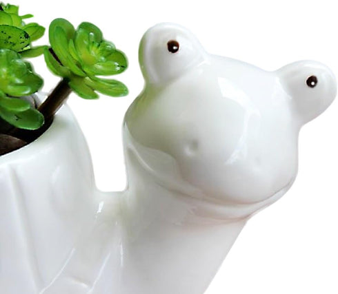 GeLive Tortoise Succulent Planter Turtle Plant Pot Animal Fun Vase Window Box Cute Home Decoration, 5 Inch, Indoor Outdoor...