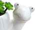 GeLive Tortoise Succulent Planter Turtle Plant Pot Animal Fun Vase Window Box Cute Home Decoration, 5 Inch, Indoor Outdoor...