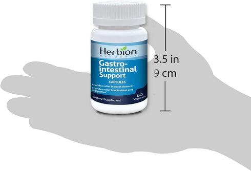 Herbion Naturals Gastro-intestinal Support Herbal Blend for Upset Stomach Relief, Gastrointestinal Health and Function, Occasional Acid Indigestio...