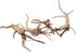 Natural Driftwood Vine Branches Reptiles Aquarium Decoration Assorted Sizes,Small,4 Pieces...