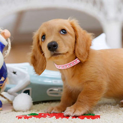 Rhinestone Dog Collar and Leash Set,Cute Dazzling Sparkling Fun Soft Suede Leather Cat Collars Crystal Diamond Pet for XXS XS Small Medium Puppy K...