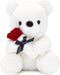 9.8'' Teddy Bear with Rose, Soft Plush Bear Doll Stuffed Animal Toys Valentines Day Decor Gifts for Her/Girlfriend Lover Mom Kids (White)...