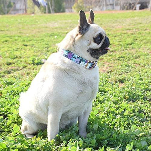 Metal Buckle Dog Collar, Durable Adjustable Dog Collar Soft for Small Medium Large Dogs...