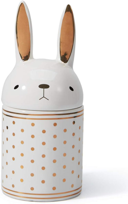 HAUCOZE Rabbit Cookie Jar Decorative Candy Jar with Lid Modern Arts Gifts Ceramic 8.1inch...