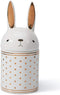 HAUCOZE Rabbit Cookie Jar Decorative Candy Jar with Lid Modern Arts Gifts Ceramic 8.1inch...