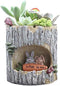 Succulent Pots with Drainage Creative Plants Flower Pot Rabbit Planter Decor Cute Planters Animal Planter 4.7 inch Garden Living Room Desk Ornamen...