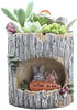 Succulent Pots with Drainage Creative Plants Flower Pot Rabbit Planter Decor Cute Planters Animal Planter 4.7 inch Garden Living Room Desk Ornamen...