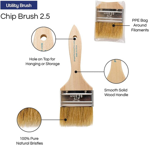 Pro Grade Chip Paint Brushes - 12-Pack - 2.5" Chip Brushes for Paints, Stains, Varnishes, Glues, & Gesso - Home Improvement - Interior & Exterior ...