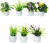 SUPVOX 7pcs Mini Potted Miniature Figurines Fairy Garden Miniature Landscape Dollhouse Resin DIY Craft Ornament for Christmas Table Cake Decoratio...
