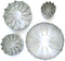 Daisy 12 Petal 4 Cutter Set by WSA...