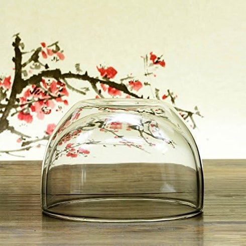 Heat Insulated Double Wall Glass Matcha Bowl - Perfect Matcha Bowl (Chawan) for Whisking Matcha Green Tea 540ml 18.5 oz Thick Glassware for Soup S...