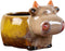 Cute Animal Ceramic Flower Pot Succulent Planter-Cow...