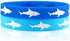 Caiyao 2pcs Shark Bracelet Fashion Rubber Sports Wrist Bracelet Ocean Beach Jewelry for Women and Men...