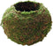 Moss Ball Flower Pot Natural Planter Bonsai Plant Holder Bird Nest for DIY Gardening Home Table Decoration - 15cm...